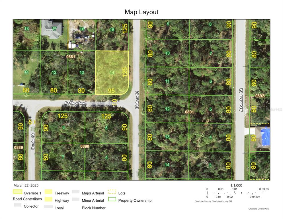 This is a map layout showing property lot lines, street names, and block numbers — 145 BISHOP STREET, PORT CHARLOTTE, FL
