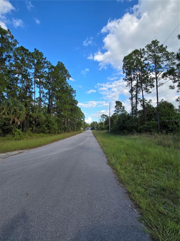 A paved road stretches into the distance between rows of tall pine trees — 1137 RAMBLER STREET, LEHIGH ACRES, FL