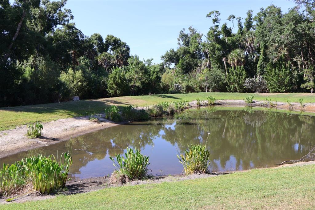 A small pond sits in a grassy yard surrounded by dense trees and vegetation — 8748 MILESTONE DRIVE, SARASOTA, FL