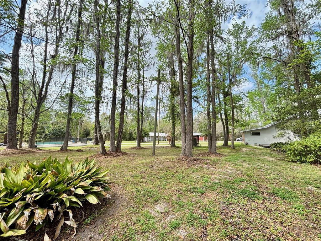 A grassy yard with many tall trees and a house visible in the background — 18917 NW COUNTY ROAD 239, ALACHUA, FL