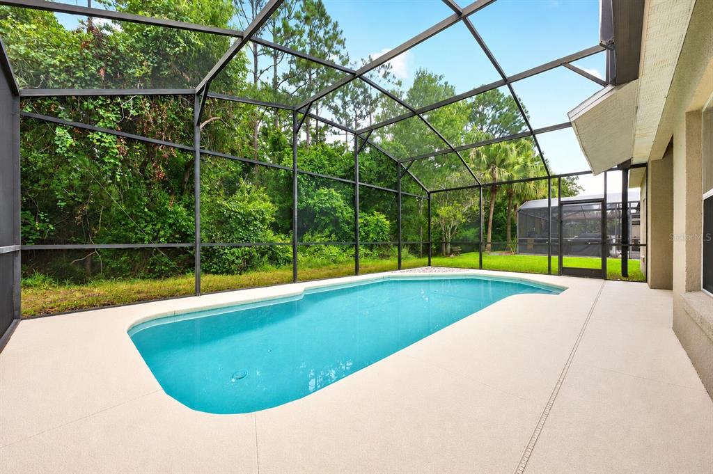 A swimming pool sits inside a screened-in lanai with a view of trees — 561 CAREY WAY, ORLANDO, FL
