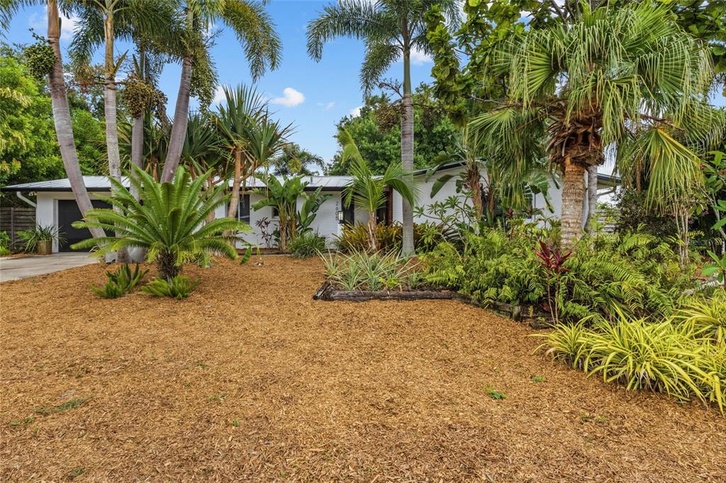 A single-story white house is surrounded by lush tropical landscaping and tall palm trees — 2605 BOTANY AVENUE, SARASOTA, FL