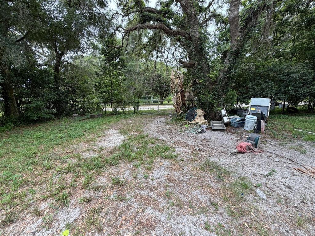 An outdoor area with sandy ground, scattered debris, and large trees in the background — 39412 MERCER ROAD, DADE CITY, FL