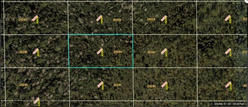 This is an aerial map view showing a highlighted rectangular plot of undeveloped wooded land — DILL ROAD, ORLANDO, FL