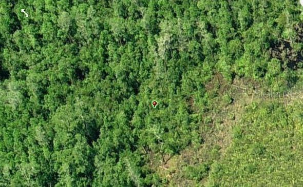 An aerial view shows a dense, wooded lot with a red location pin — DILL ROAD, ORLANDO, FL