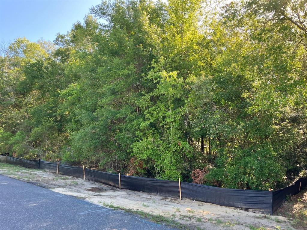 A paved road runs alongside a wooded lot enclosed by a black silt fence — 8227 N GALENA AVENUE, CITRUS SPRINGS, FL