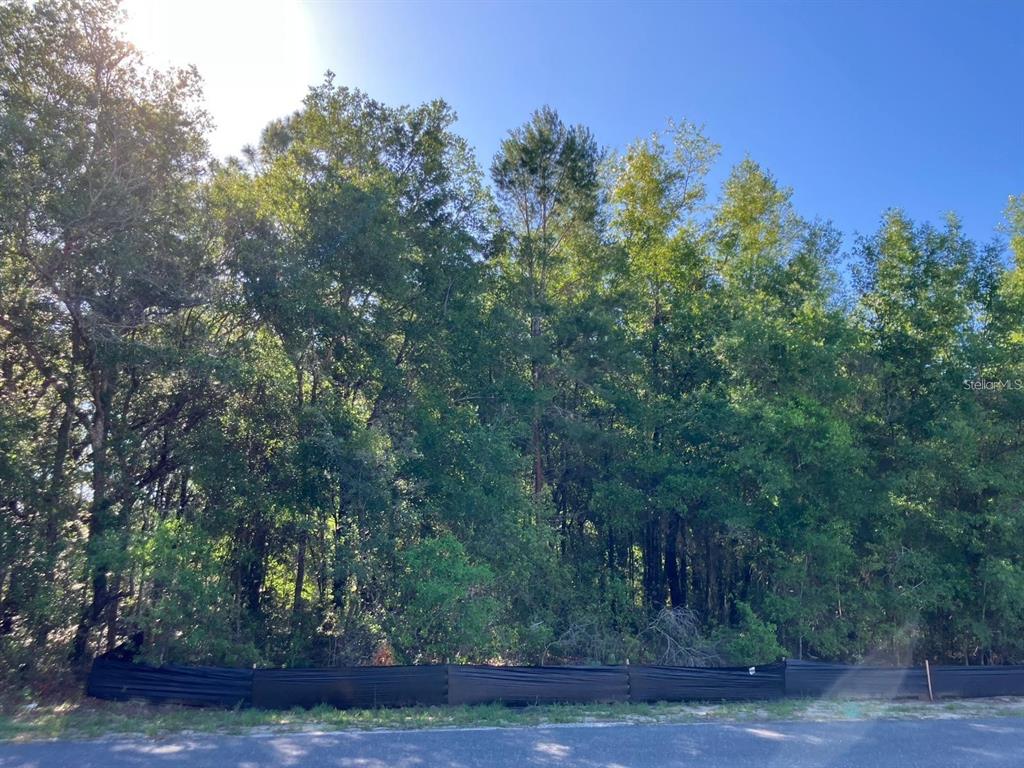 A wooded lot with a black silt fence sits along a paved road — 8227 N GALENA AVENUE, CITRUS SPRINGS, FL