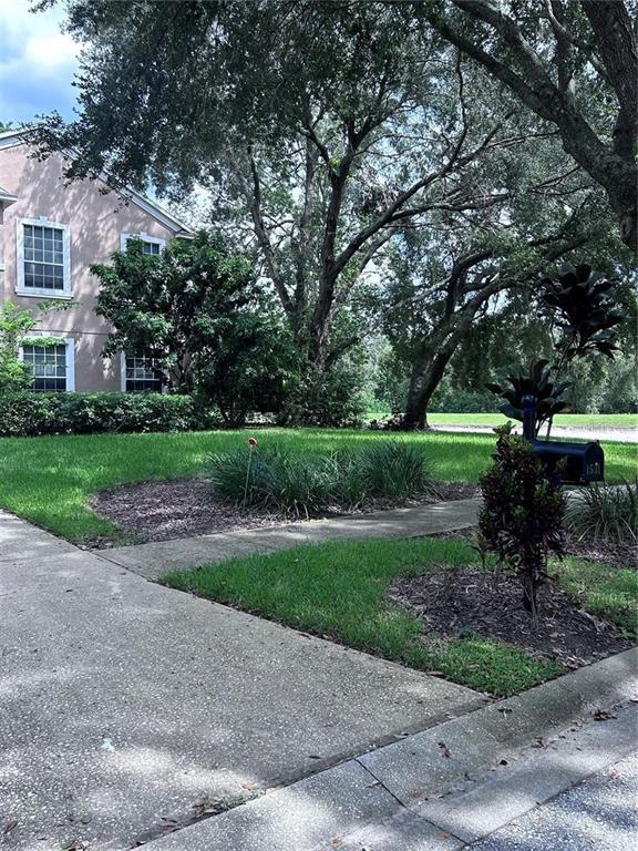A view of a house exterior with a lawn, mature trees, and a mailbox — 1531 MCCREA DRIVE, LUTZ, FL