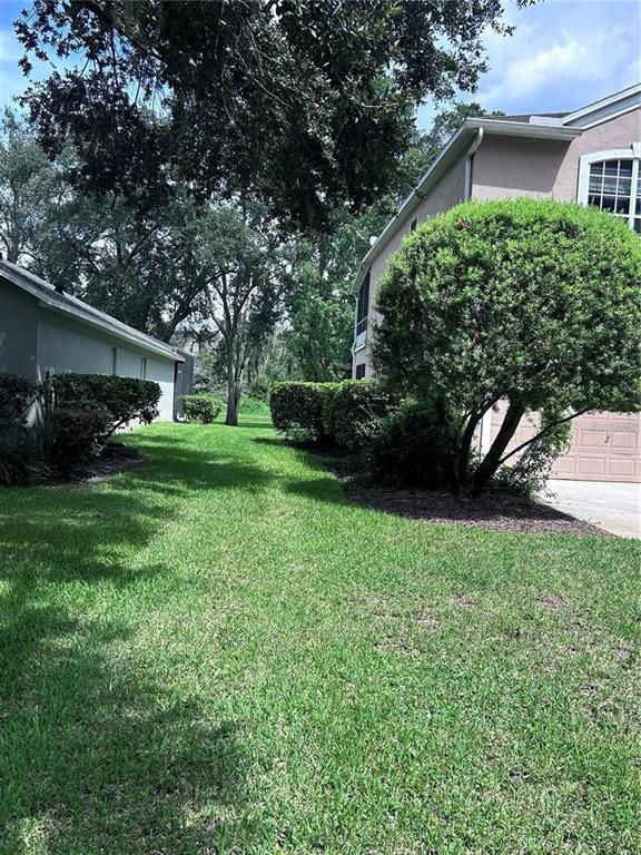 A grassy yard sits between two residential buildings with trees and shrubs — 1531 MCCREA DRIVE, LUTZ, FL