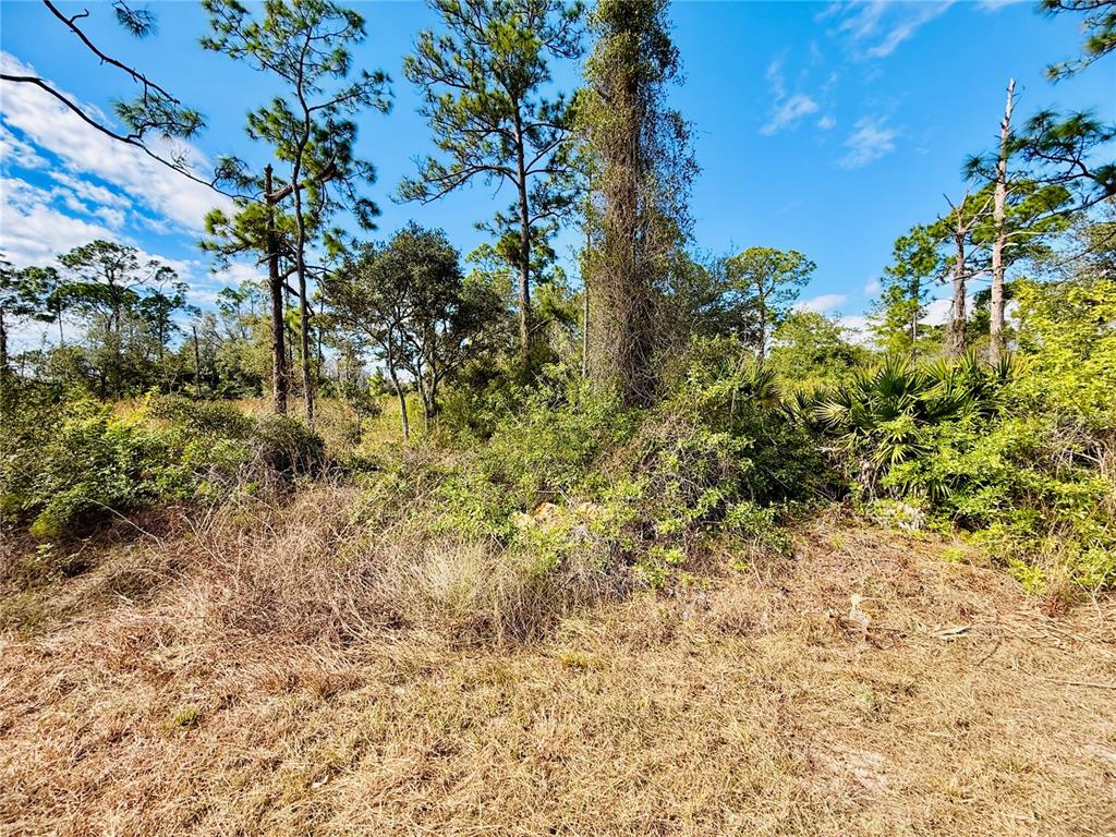 2007 TRUMAN AVENUE, ALVA, FL — photo 4 of 6