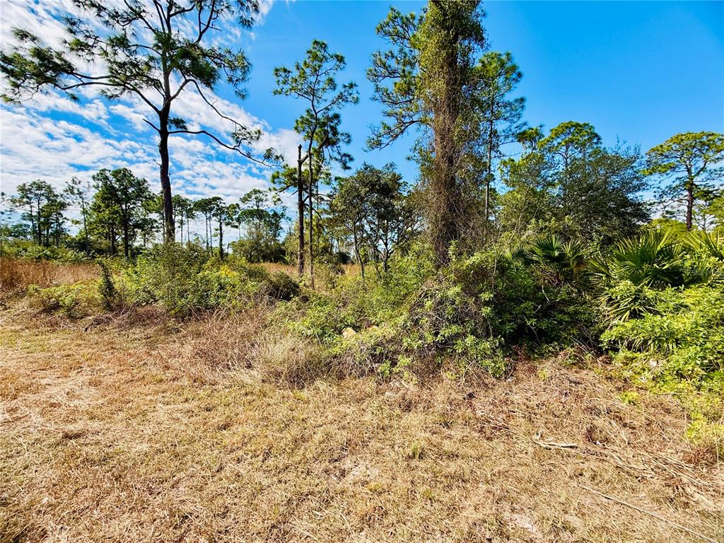 2007 TRUMAN AVENUE, ALVA, FL — photo 5 of 6