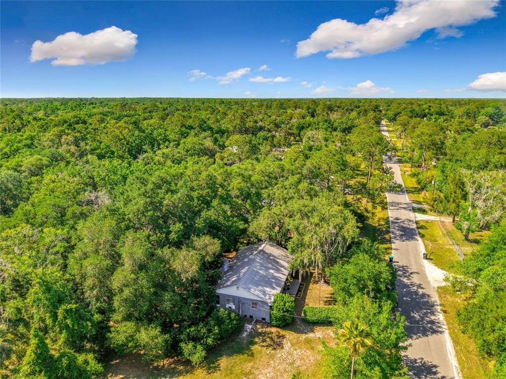 An aerial view shows a single-story house surrounded by dense trees next to a road — 1338 SAINT NICHOLAS AVENUE, CHRISTMAS, FL