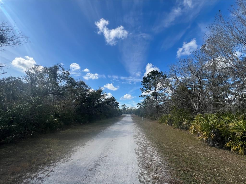SILVER PALM DRIVE, INDIAN LAKE ESTATES, FL — photo 2 of 30