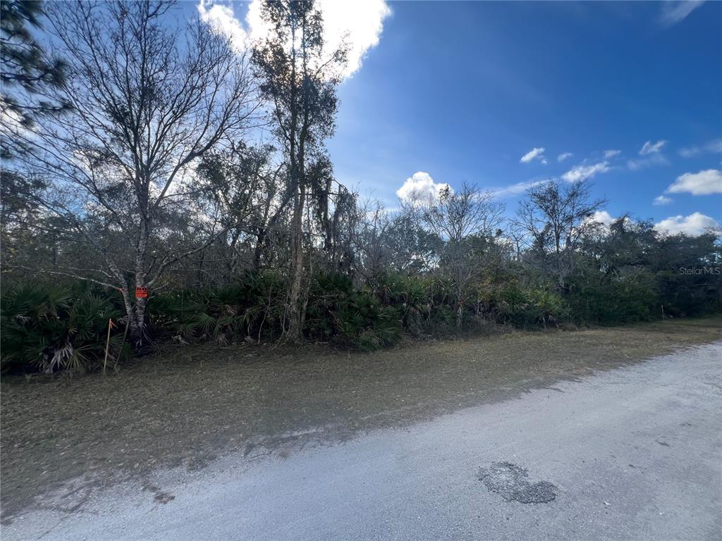 SILVER PALM DRIVE, INDIAN LAKE ESTATES, FL — photo 3 of 30