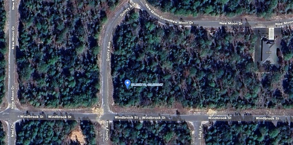 This is an aerial map showing a vacant, wooded lot located at the corner of streets — WINDBROOK STREET, CHIPLEY, FL