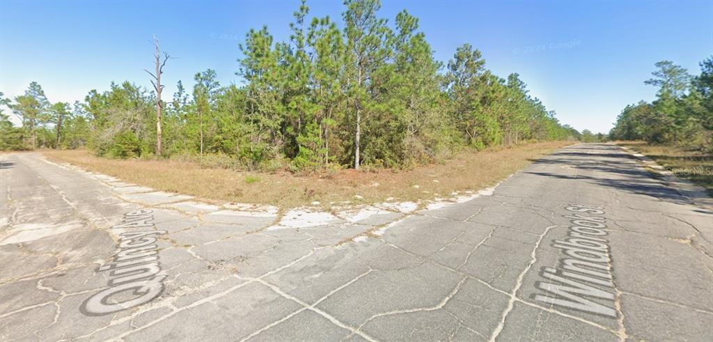 An intersection of two paved roads bordered by a wooded lot with pine trees — WINDBROOK STREET, CHIPLEY, FL