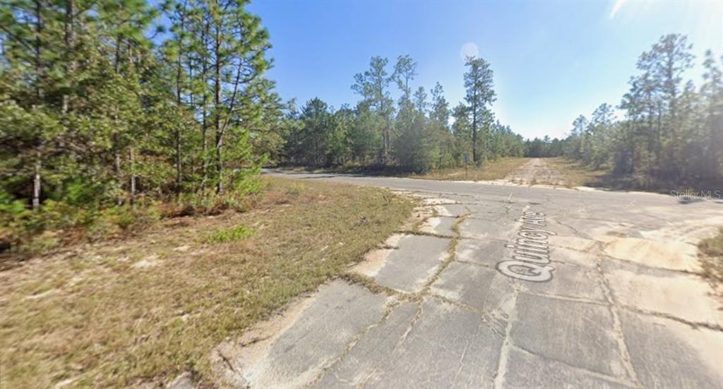 A paved road intersection is surrounded by a dense forest of pine trees — WINDBROOK STREET, CHIPLEY, FL