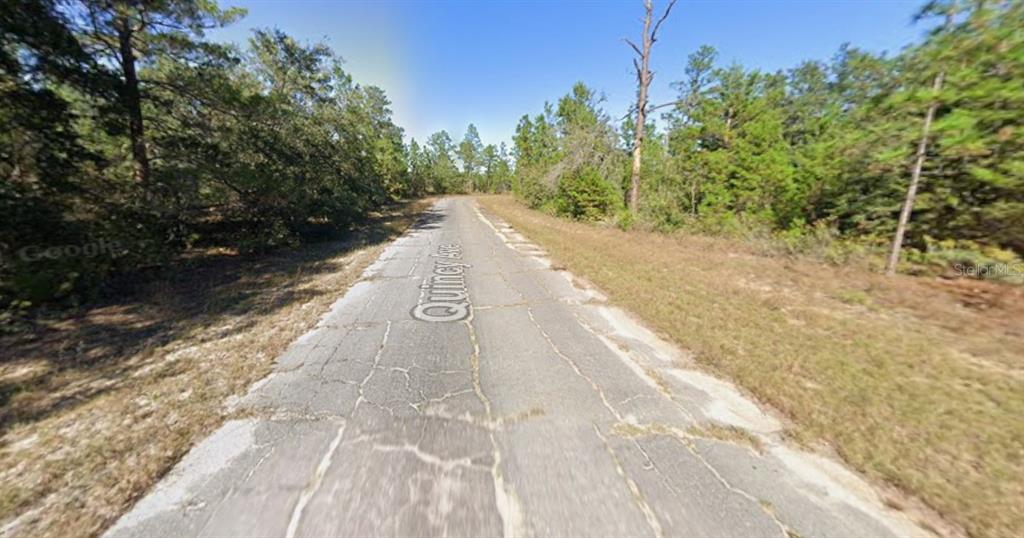 A narrow, cracked asphalt road winds through a wooded area with tall pine trees — WINDBROOK STREET, CHIPLEY, FL