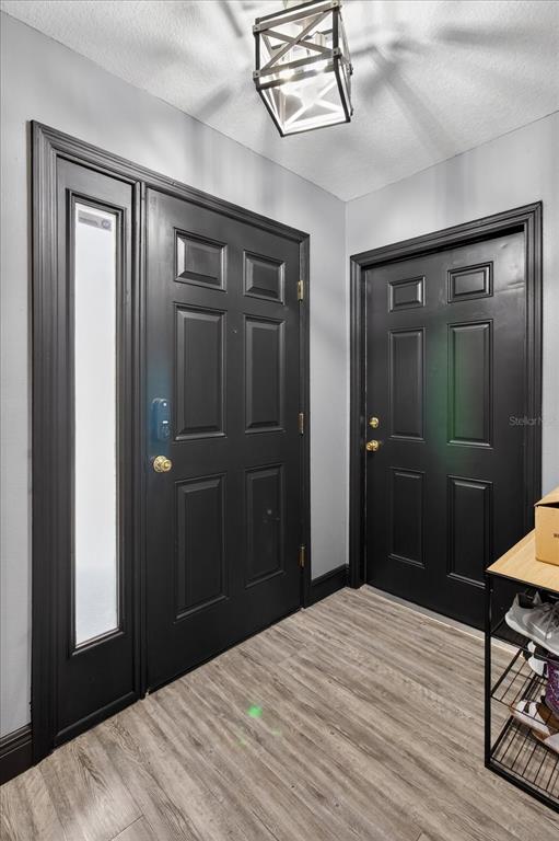 An entryway features two black doors, light wood-look flooring, and a modern geometric light fixture — 1005 13TH AVENUE NW, LARGO, FL