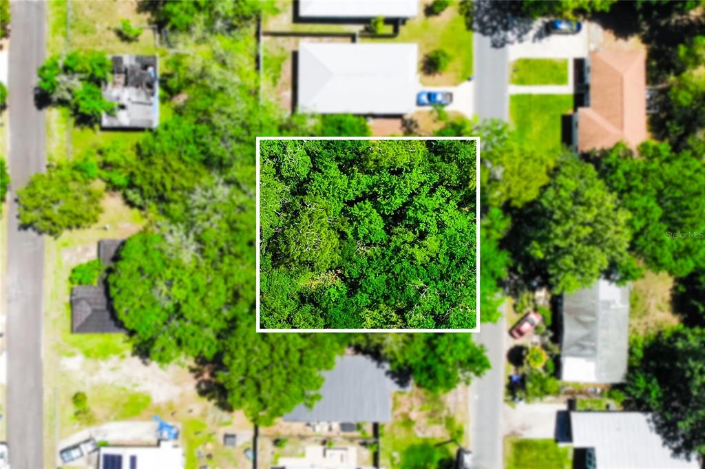 1028 COLLIER BOULEVARD, ST AUGUSTINE, FL — photo 2 of 18