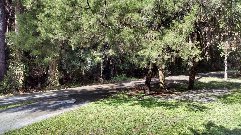 224 MANSION BOULEVARD