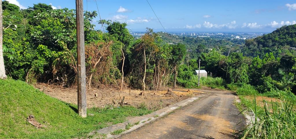 A sloped, partially cleared dirt lot sits beside a paved road overlooking a distant city — CAMINO MORCELO, SAN JUAN, PR