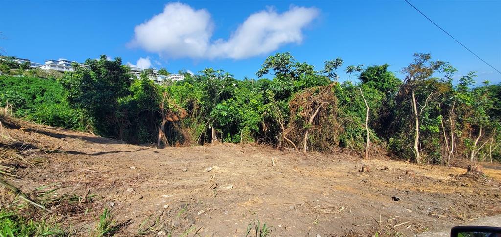 A cleared, sloping dirt lot sits in front of a dense line of trees — CAMINO MORCELO, SAN JUAN, PR