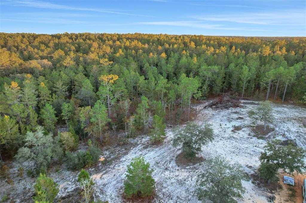 An aerial view shows a sandy, partially cleared lot bordering a dense forest of pine trees — 161 WINDY HILLS ROAD, HAWTHORNE, FL
