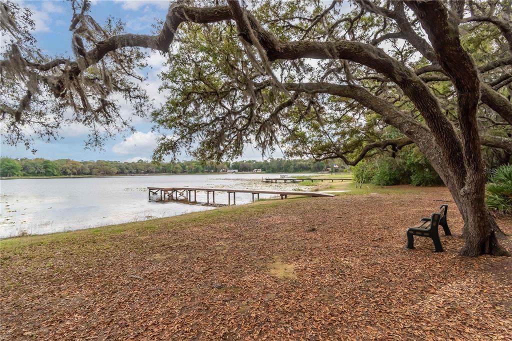 A wooden dock extends into a lake from a grassy yard shaded by large trees — 22645 NE 105TH AVENUE ROAD, FORT MC COY, FL