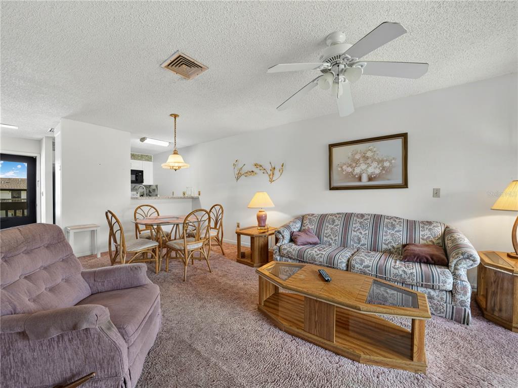 A living room and dining area with carpeted floors, a ceiling fan, and traditional furniture — 900 AVENUE Z SE UNIT D6, WINTER HAVEN, FL