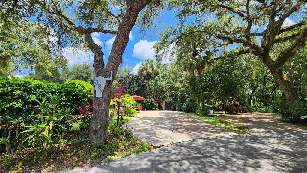 389 LONGHORN DRIVE, RIVER RANCH, FL — photo 2 of 11