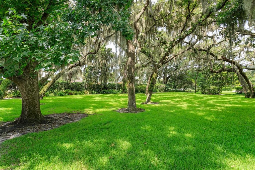 A grassy lawn is shaded by several large trees draped with Spanish moss — GRAN LAC AVENUE, BELLE ISLE, FL
