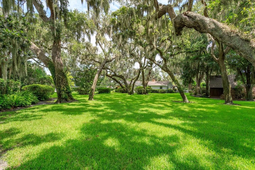 A large, grassy backyard features many mature oak trees draped with Spanish moss — GRAN LAC AVENUE, BELLE ISLE, FL