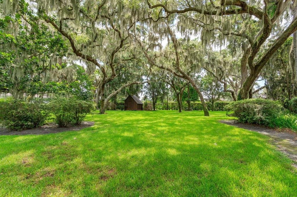 A grassy backyard features large oak trees draped in Spanish moss and a small shed — GRAN LAC AVENUE, BELLE ISLE, FL