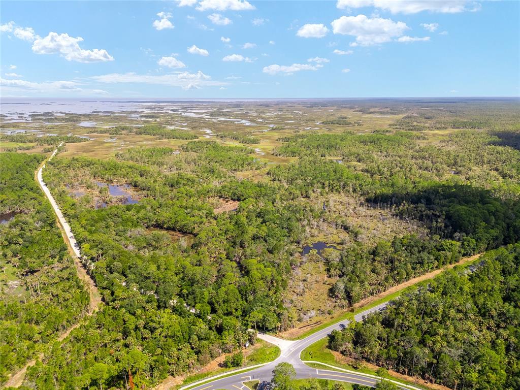 0 SE 193RD PLACE, YANKEETOWN, FL — photo 3 of 30