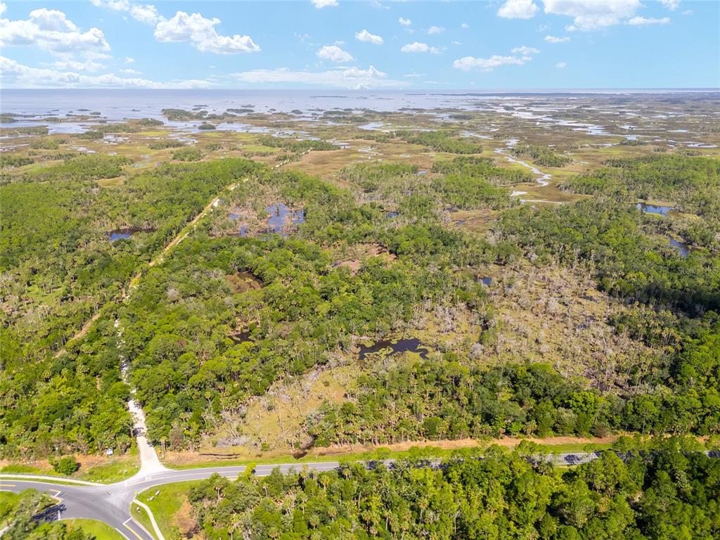 0 SE 193RD PLACE, YANKEETOWN, FL — photo 4 of 30