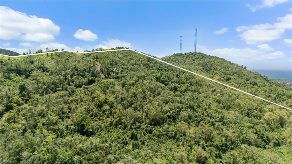 An aerial view shows a densely forested hillside with a white property boundary line — PR-748 CAIMITAL, GUAYAMA, PR