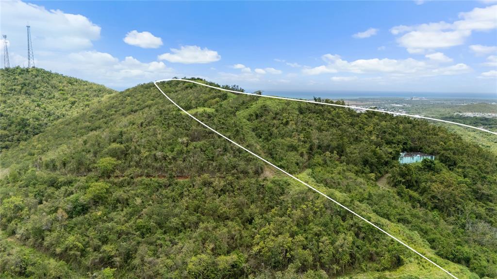An aerial view shows a hillside covered in dense vegetation with a single house — PR-748 CAIMITAL, GUAYAMA, PR