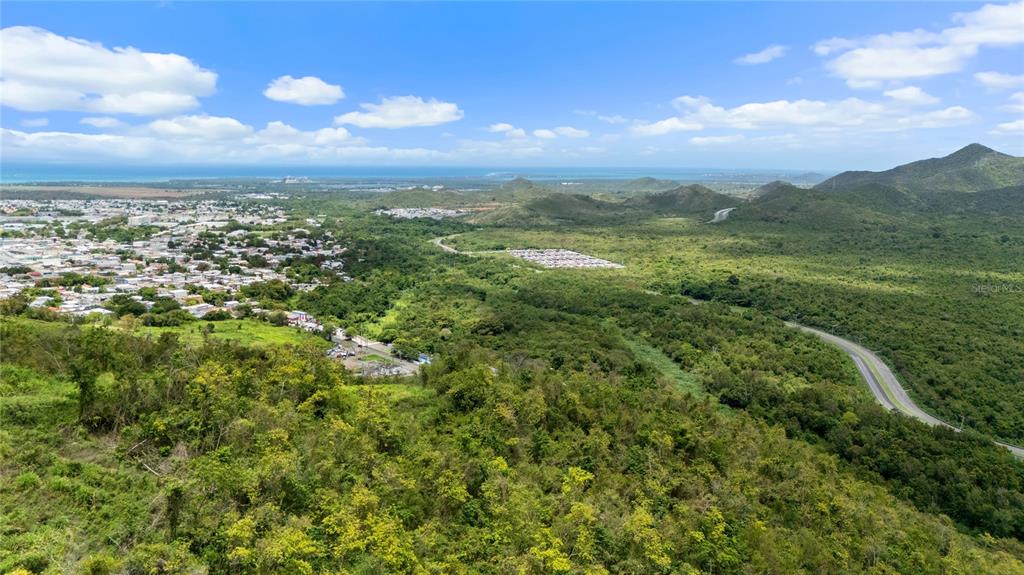 An aerial view shows a hillside overlooking a town, forest, and distant coastline — PR-748 CAIMITAL, GUAYAMA, PR