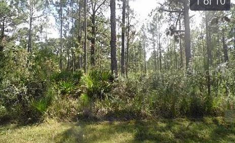 HWY 60 E, LAKE WALES, FL — photo 2 of 2
