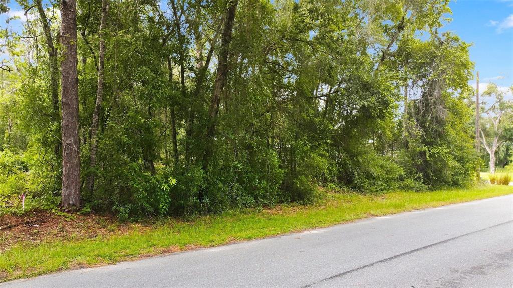 A paved road runs alongside a wooded lot with dense trees and green vegetation — 6982 N PALMER WAY, HERNANDO, FL