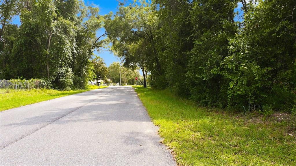 A paved road stretches forward between dense green trees and grassy shoulders under a blue sky — 6982 N PALMER WAY, HERNANDO, FL