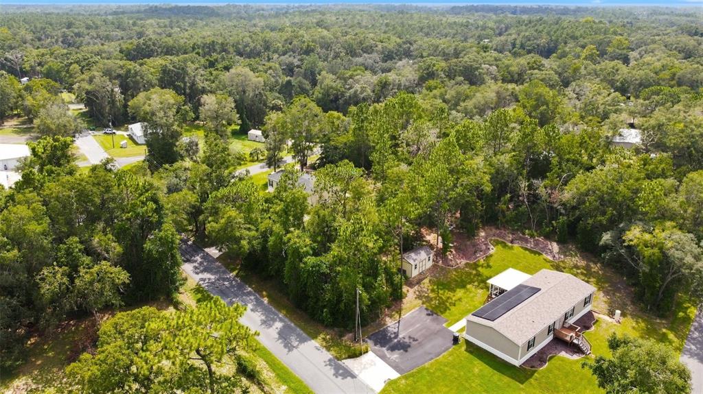 An aerial view shows a house with solar panels, a driveway, and a shed among trees — 6982 N PALMER WAY, HERNANDO, FL