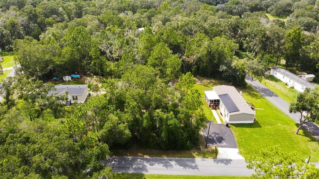 An aerial view shows two houses surrounded by dense trees and a paved road — 6982 N PALMER WAY, HERNANDO, FL