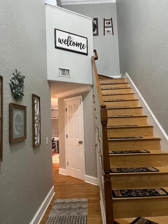 A staircase with wooden treads and a runner leads upward next to a hallway — 9726 TIFFANY OAKS LANE UNIT 9726, TAMPA, FL