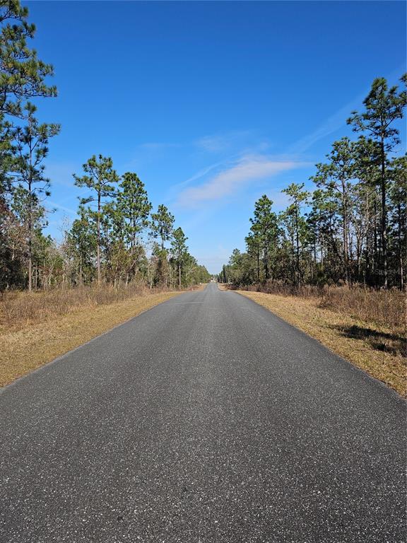 A paved road stretches into the distance through a wooded area under a clear sky — TBD SE 136TH TERRACE, DUNNELLON, FL