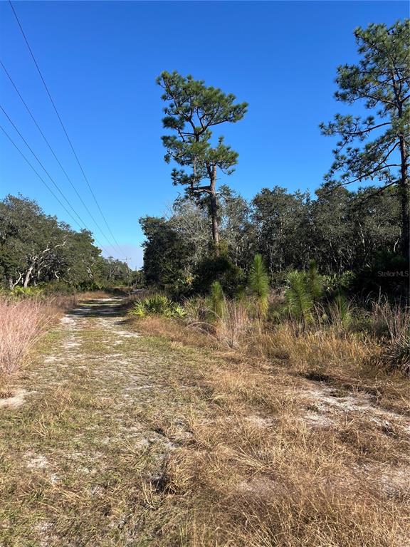 SUNRISE BOULEVARD, MOUNT DORA, FL — photo 2 of 3
