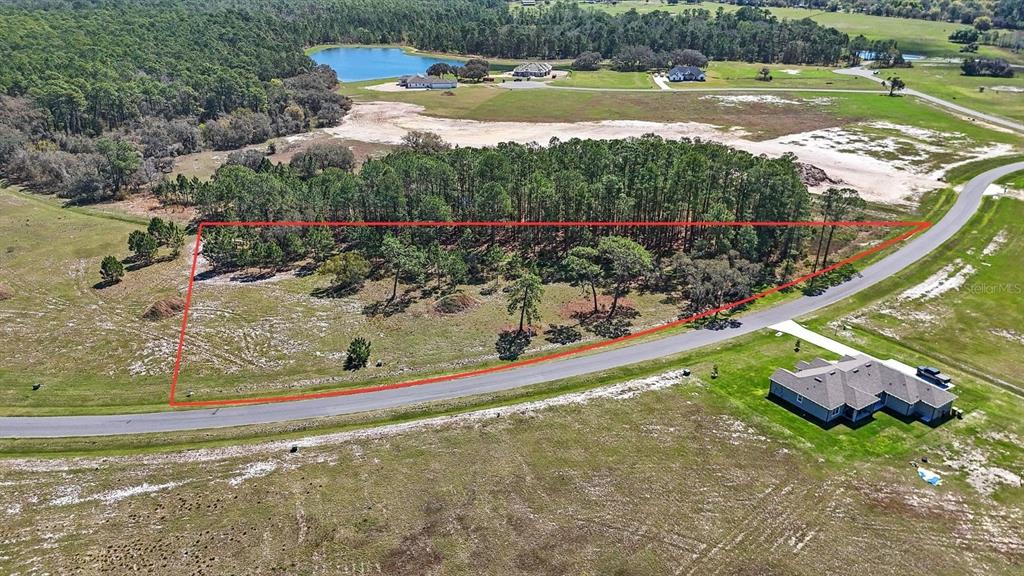 An aerial view shows a triangular plot of land outlined in red near a road — 38514 WOODED MEADOW DRIVE, UMATILLA, FL