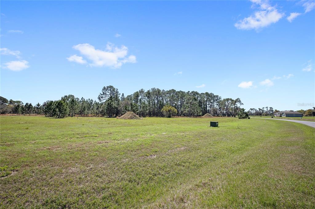 A large, grassy vacant lot features scattered trees and a small utility box — 38514 WOODED MEADOW DRIVE, UMATILLA, FL