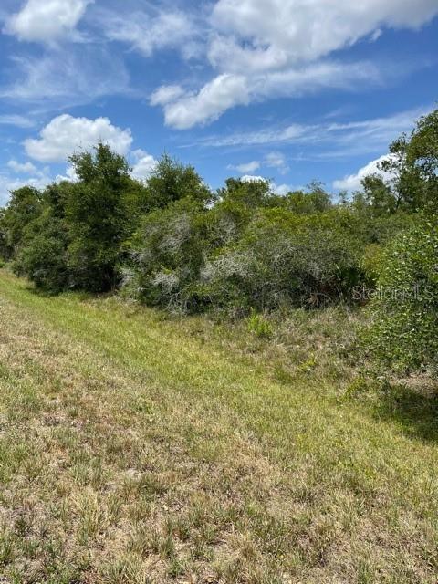 A grassy field leads to a dense line of trees and shrubs under a blue sky — 33514, 33522,33528 WASHINGTON LOOP ROAD, PUNTA GORDA, FL